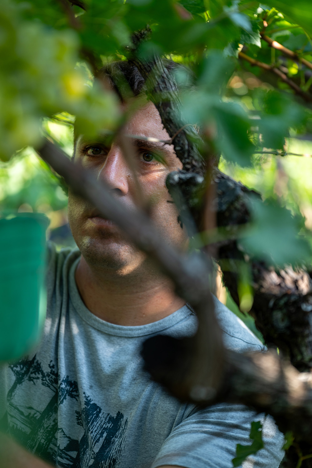 Weingut Unterhofer in Kaltern